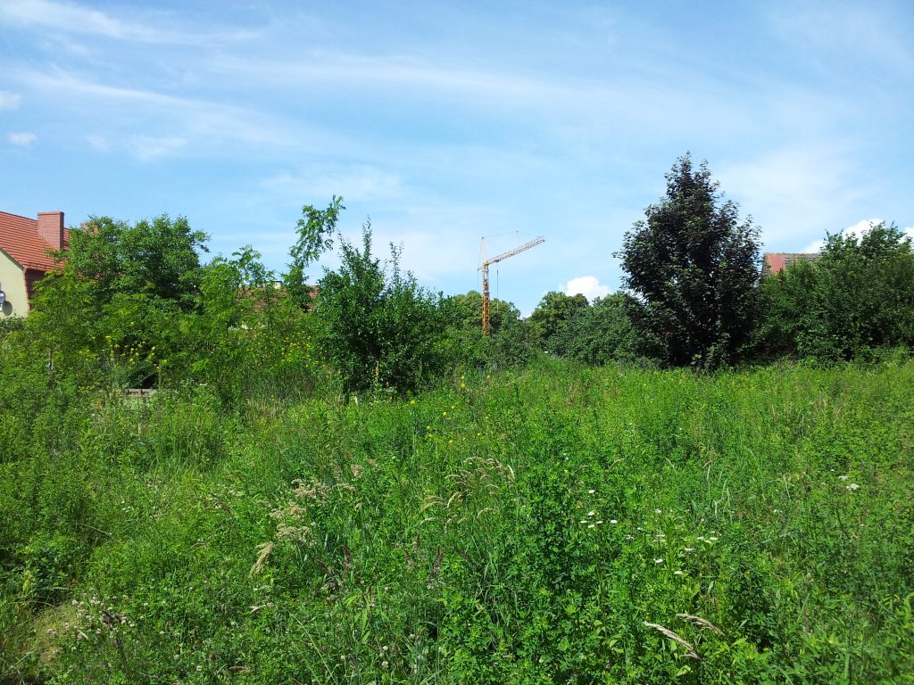 Działki przy ul. Grunwaldzkiej w Policach przeznaczone do sprzedaży