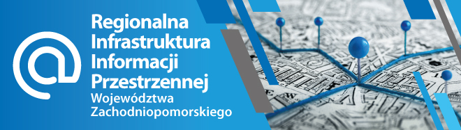 Baner przedstawia logo RIIP