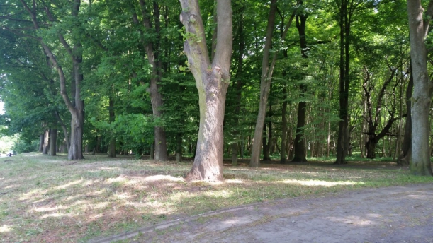 Grunt przy ul. Wiosny Ludów w Szczecinie przeznaczony do sprzedaży