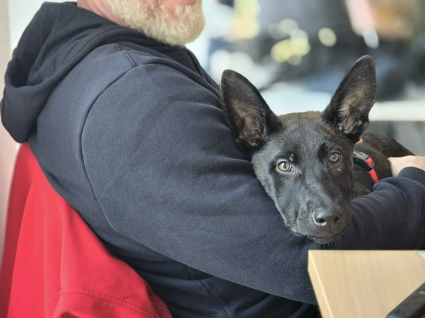 Pies siedący na kolanach ratownika Ochotniczej Straży Pożarnej