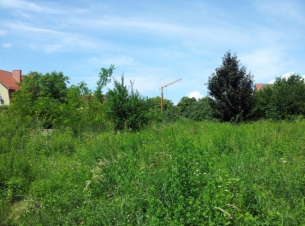 Działki przy ul. Grunwaldzkiej w Policach przeznaczone do sprzedaży